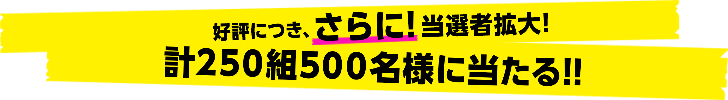 好評につき、さらに！当選枠拡大! 計250組500名様に当たる!!