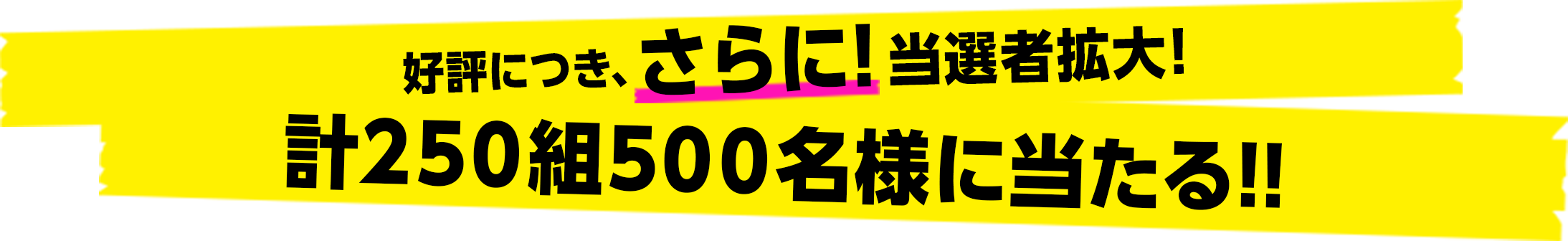 好評につき、さらに！当選枠拡大! 計250組500名様に当たる!!