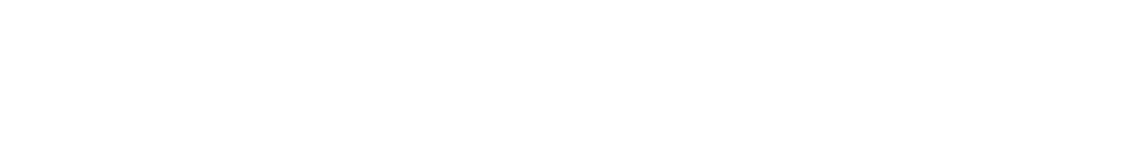 角度、位置（上下）、位置（左右）、大小、位置翻轉（左右）、濃度