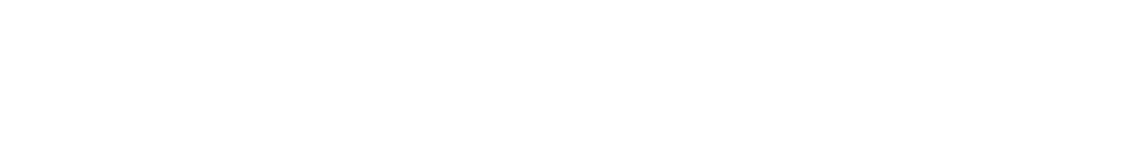 角度、位置（上下）、位置（左右） 大きさ、ペイントの左右反転