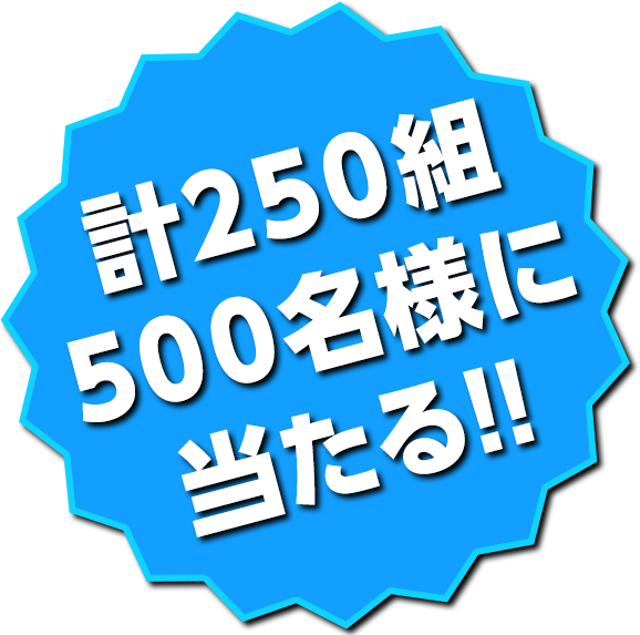 計250組 500名様に当たる!!